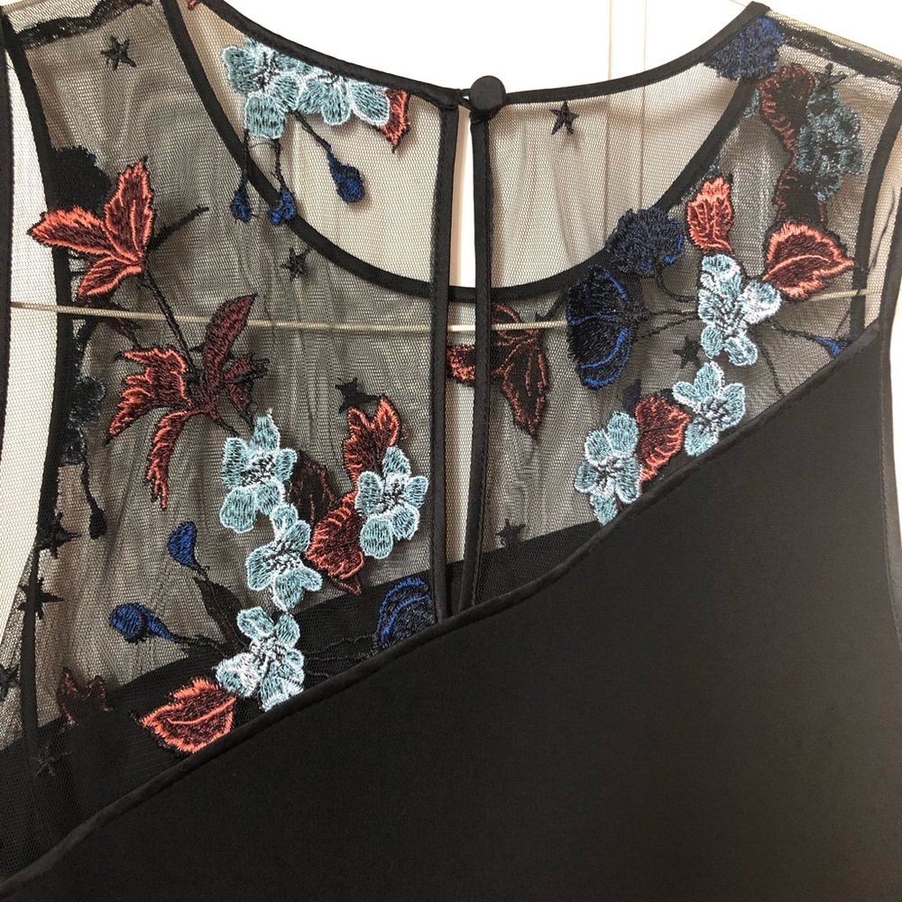 Sexy Sheer embroidered panel dress size Med